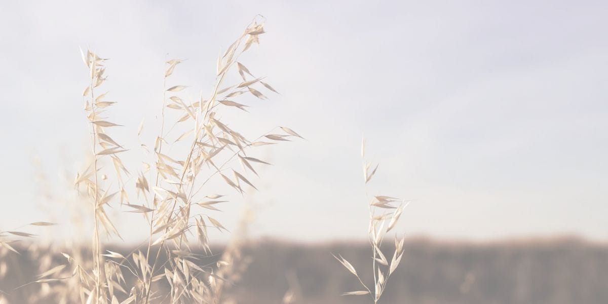 banner helloismind 2